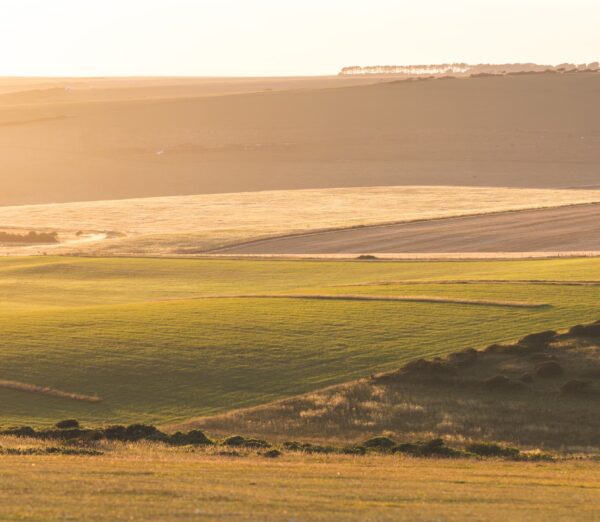 Green Rolling Hills